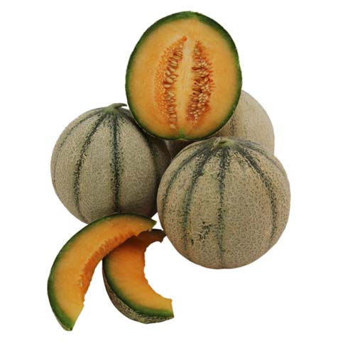 Melone Miel de Sapo
