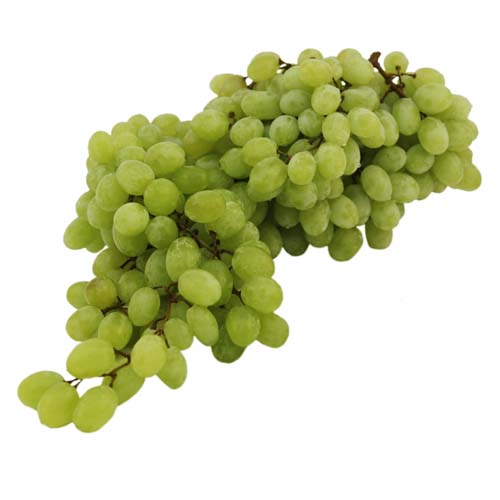 Weintraube grün